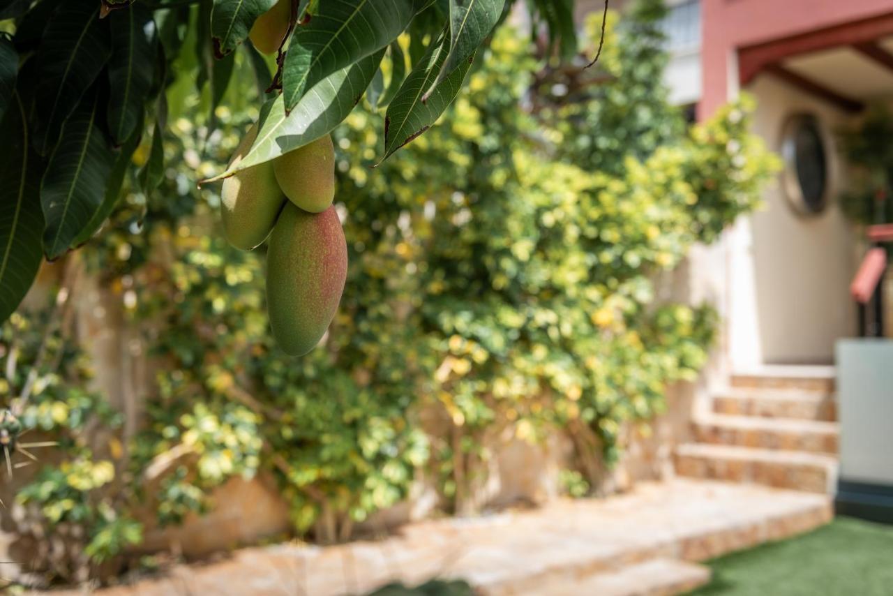 Comfortable 4-Bedroom Villa With Private Gardens Costa Adeje  Eksteriør billede